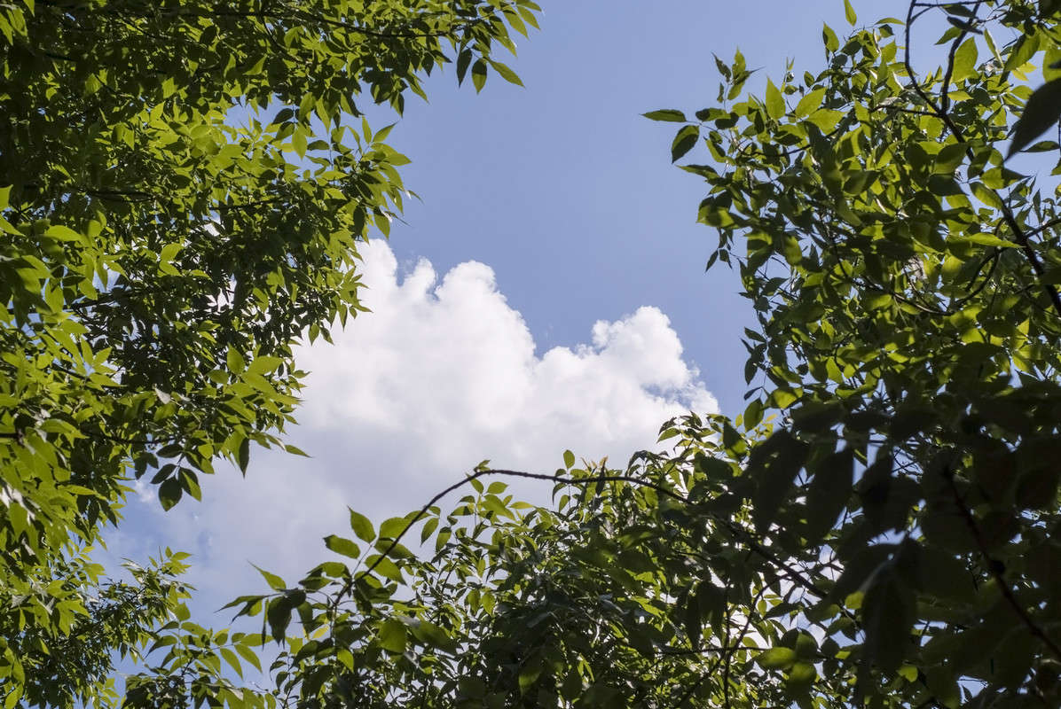 ������� ����� ������� ���������� �� PhotoGeek.ru #������ ��� �������