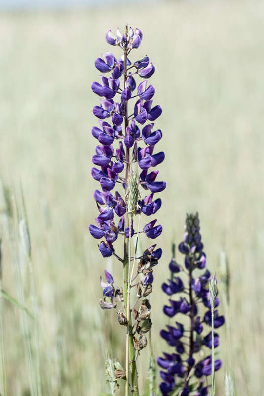 .... ����� ������� ���������� �� PhotoGeek.ru #������ ��� �������