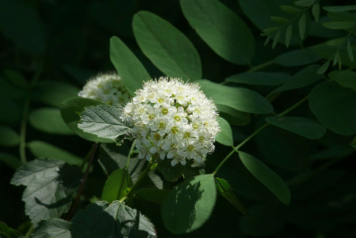 � ���� ����� ������� ���������� �� PhotoGeek.ru #������ ��� �������