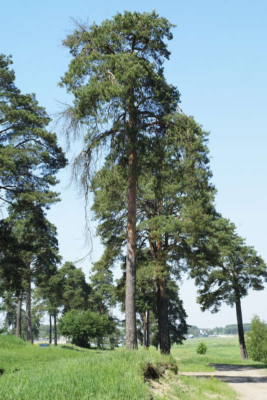 ������� ����� ������� ���������� �� PhotoGeek.ru #������ ��� �������