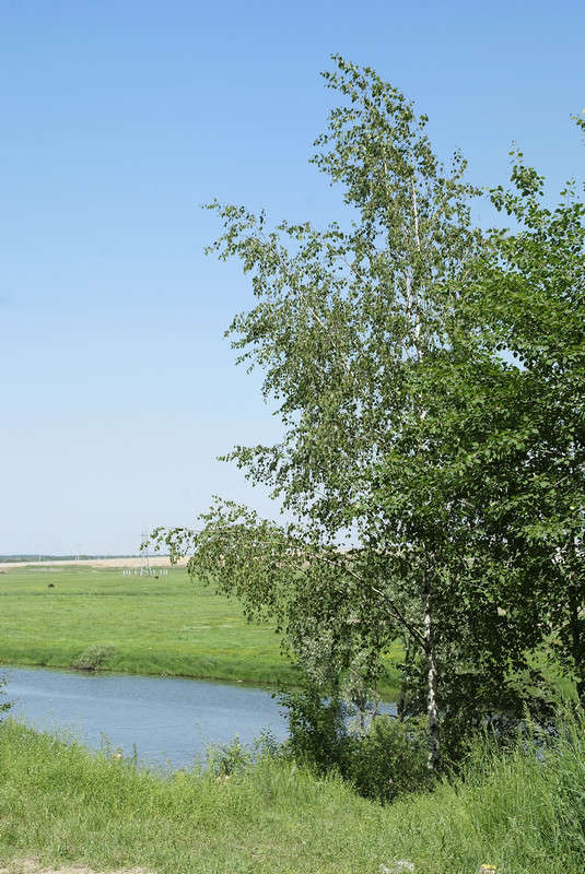 .... ����� ������� ���������� �� PhotoGeek.ru #������ ��� �������