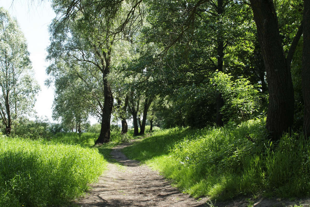 ������� ����� ������� ���������� �� PhotoGeek.ru #������ ��� �������