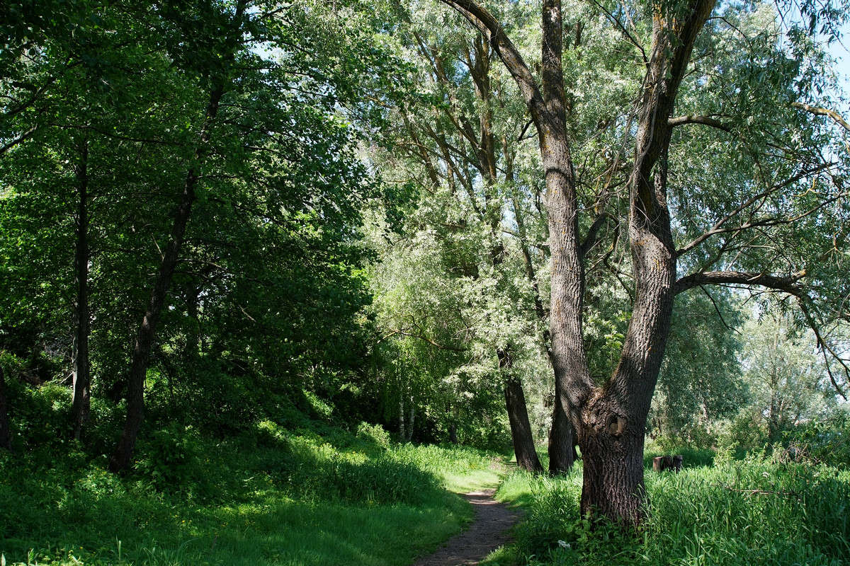 ..... ����� ������� ���������� �� PhotoGeek.ru #������ ��� �������