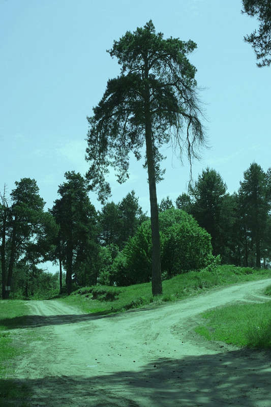 ... ����� ������� ���������� �� PhotoGeek.ru #������ ��� �������