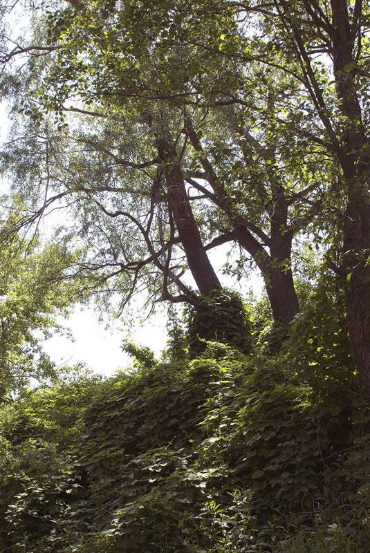 ... ����� ������� ���������� �� PhotoGeek.ru #������ ��� �������