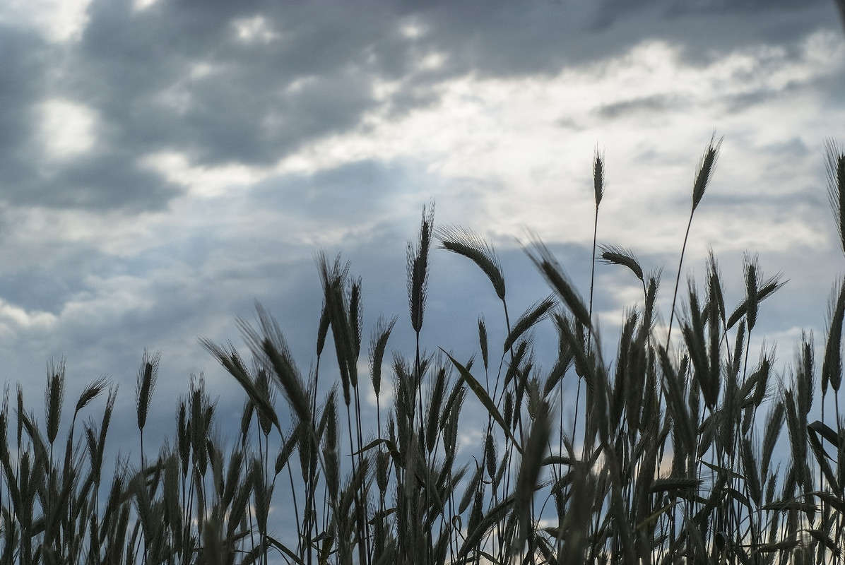 ����� ������ ����� ������� ���������� �� PhotoGeek.ru #������ ��� �������