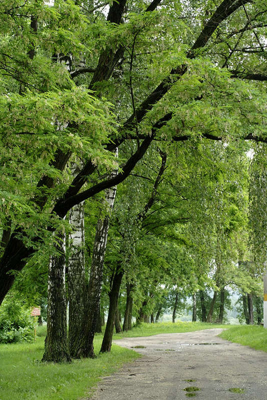 ����� ����� � 2 ����� ������� ���������� �� PhotoGeek.ru #������ ��� �������