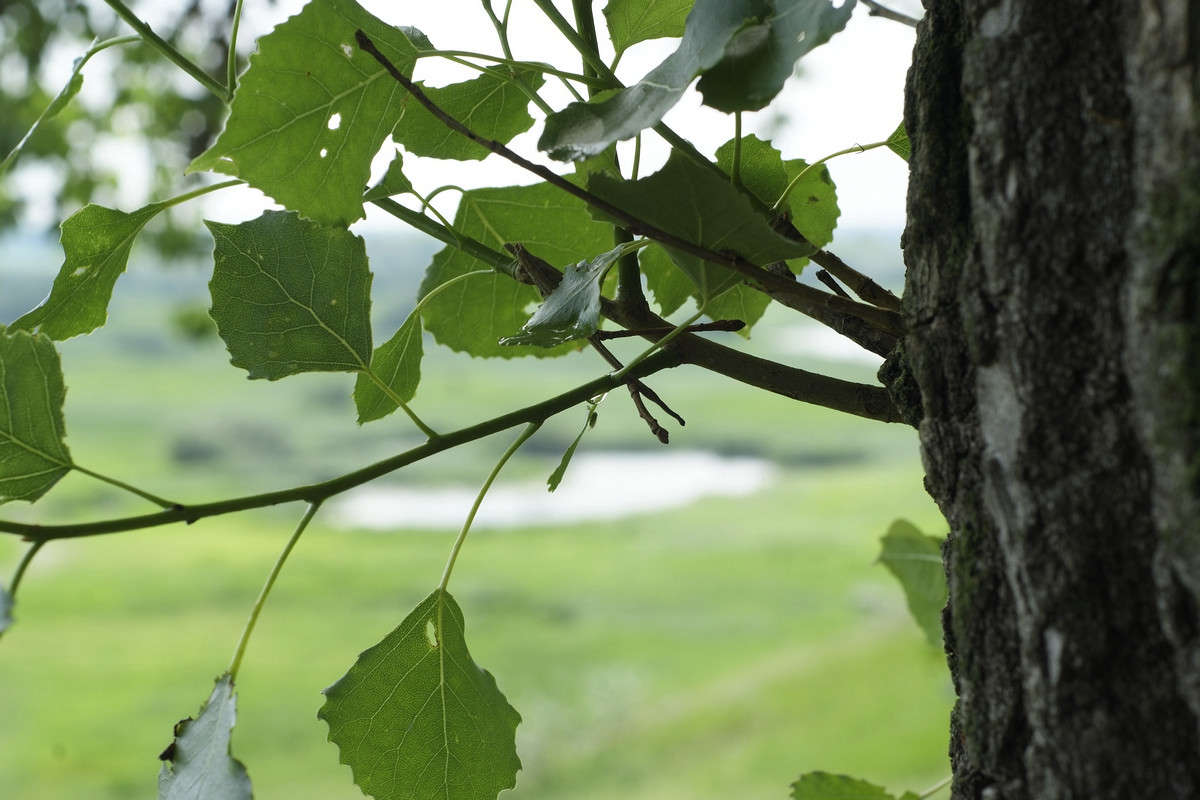 ... ����� ������� ���������� �� PhotoGeek.ru #������ ��� �������