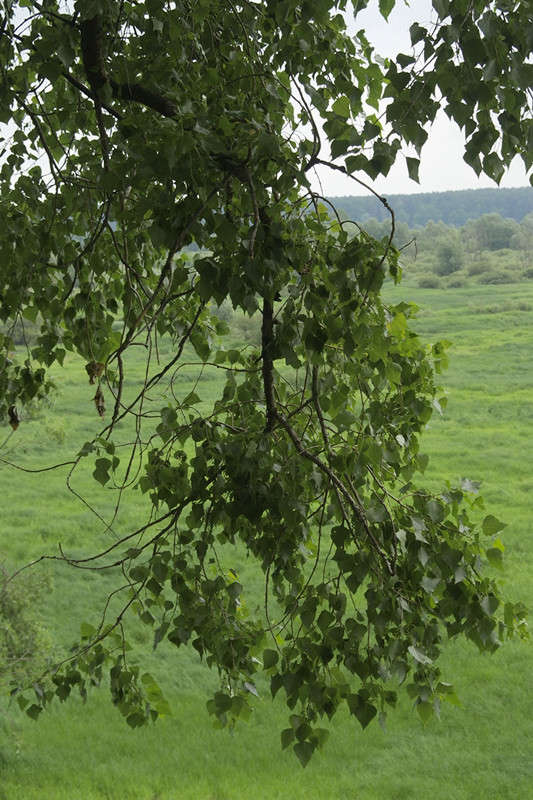 ����� ����� ������� ���������� �� PhotoGeek.ru #������ ��� �������