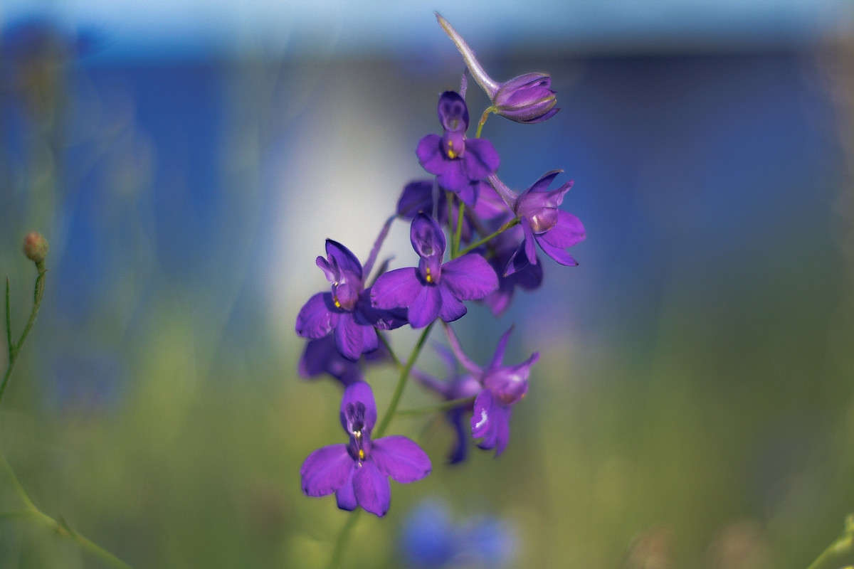 ������ ����� ����� ������� ���������� �� PhotoGeek.ru #������ ��� �������