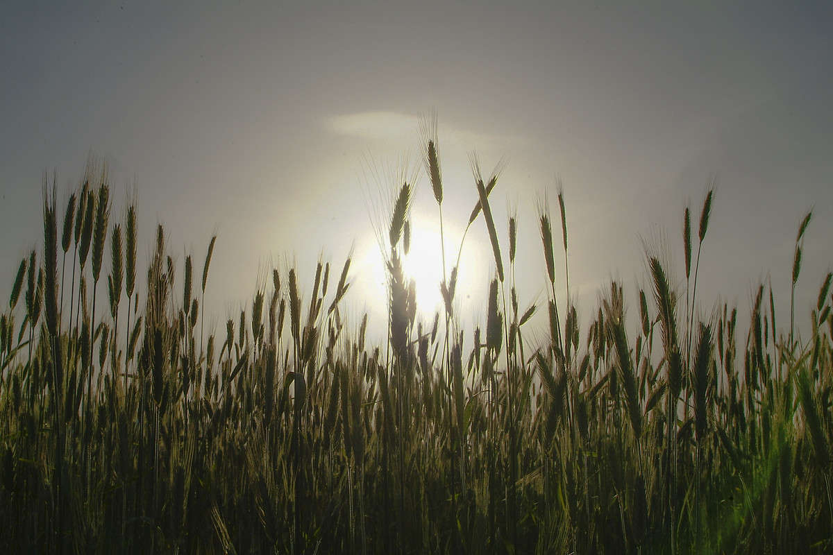 ����� ����� ������� ���������� �� PhotoGeek.ru #������ ��� �������