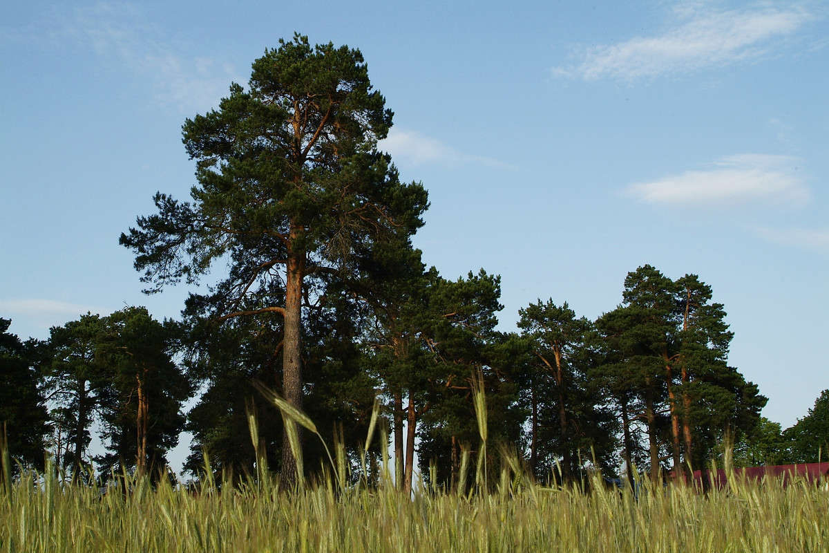 .... ����� ������� ���������� �� PhotoGeek.ru #������ ��� �������