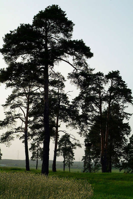 ... ����� ������� ���������� �� PhotoGeek.ru #������ ��� �������