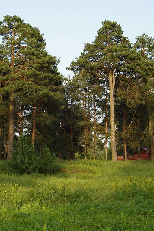 ... ����� ������� ���������� �� PhotoGeek.ru #������ ��� �������