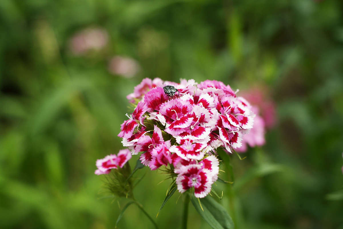 ������� ����� ������� ���������� �� PhotoGeek.ru #������ ��� �������