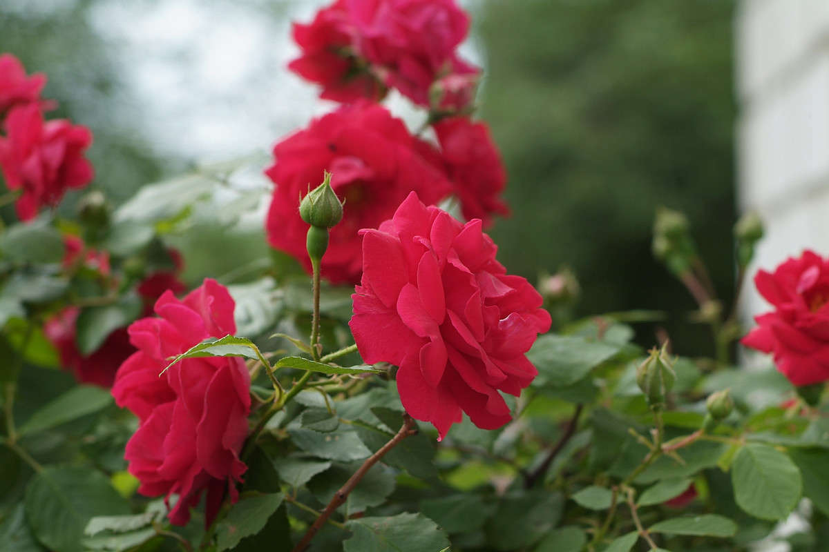 ... ����� ������� ���������� �� PhotoGeek.ru #������ ��� �������