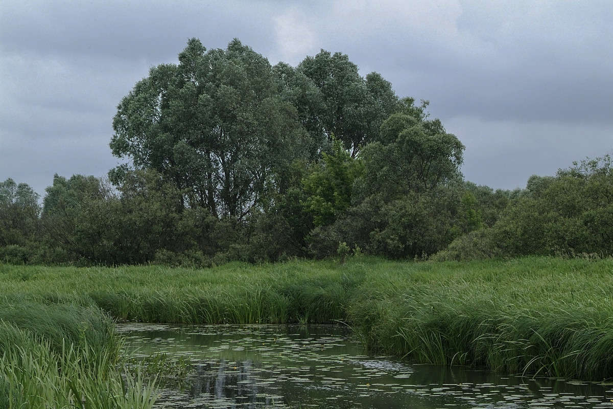 ������ ����� ������� ���������� �� PhotoGeek.ru #������ ��� �������