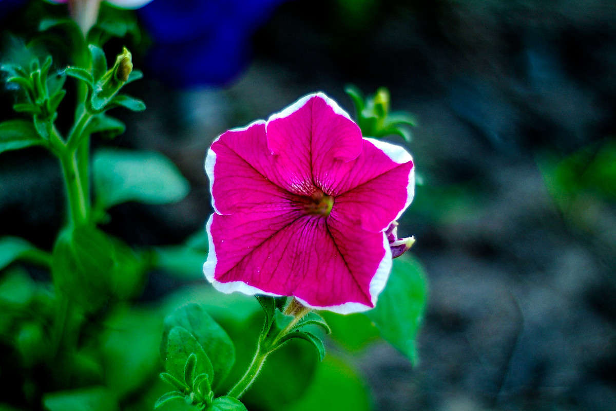 ���������� ����� ������� ���������� �� PhotoGeek.ru #������ ��� �������