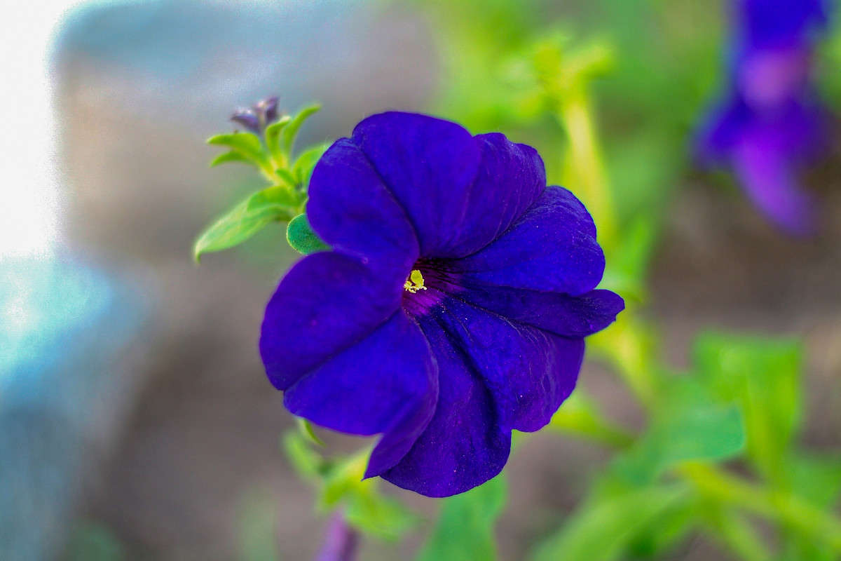 ... ����� ������� ���������� �� PhotoGeek.ru #������ ��� �������