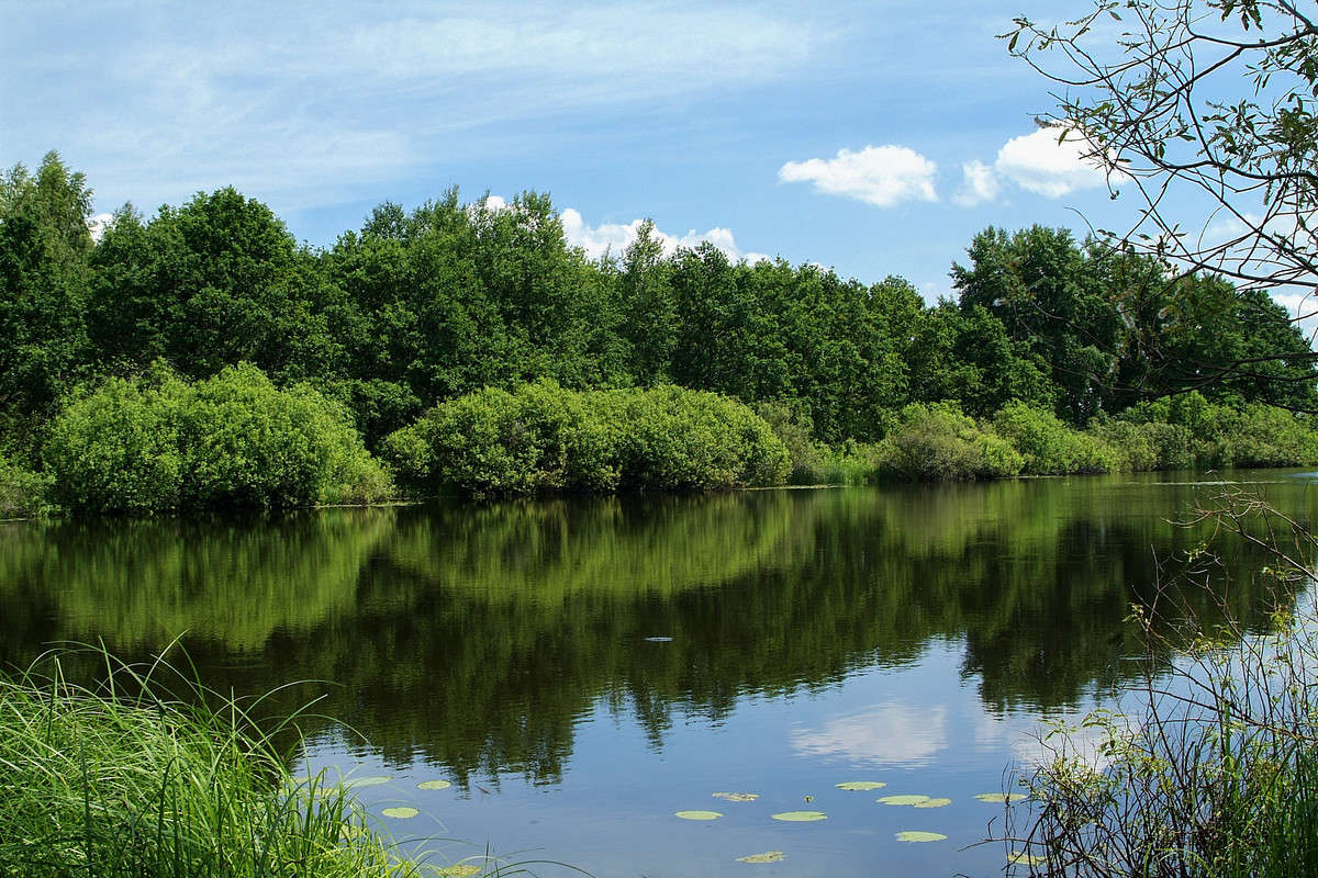 ���� ����� ������� ���������� �� PhotoGeek.ru #������ ��� �������