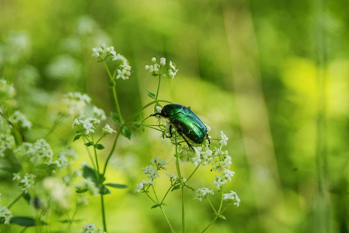 ... ����� ������� ���������� �� PhotoGeek.ru #�������� ��� #������ ��� �������