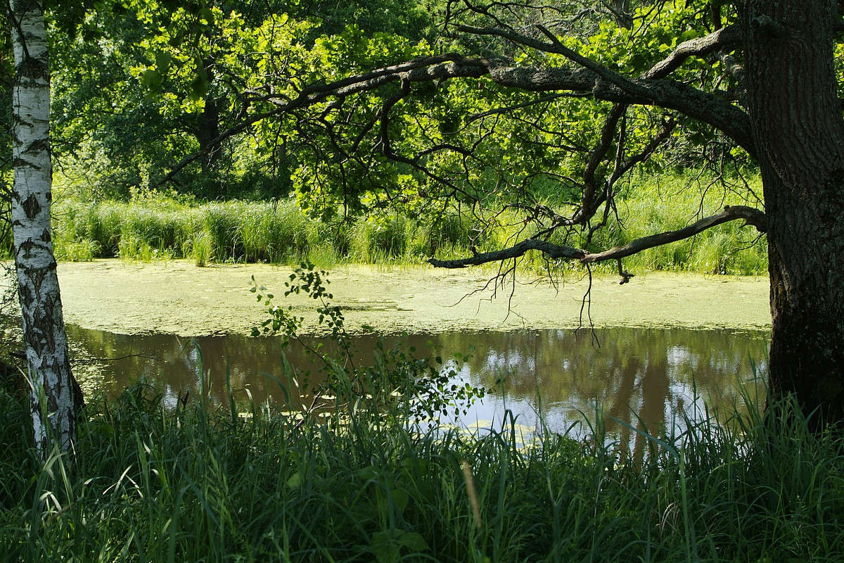 ������ ����� ������� ���������� �� PhotoGeek.ru #������ ��� �������