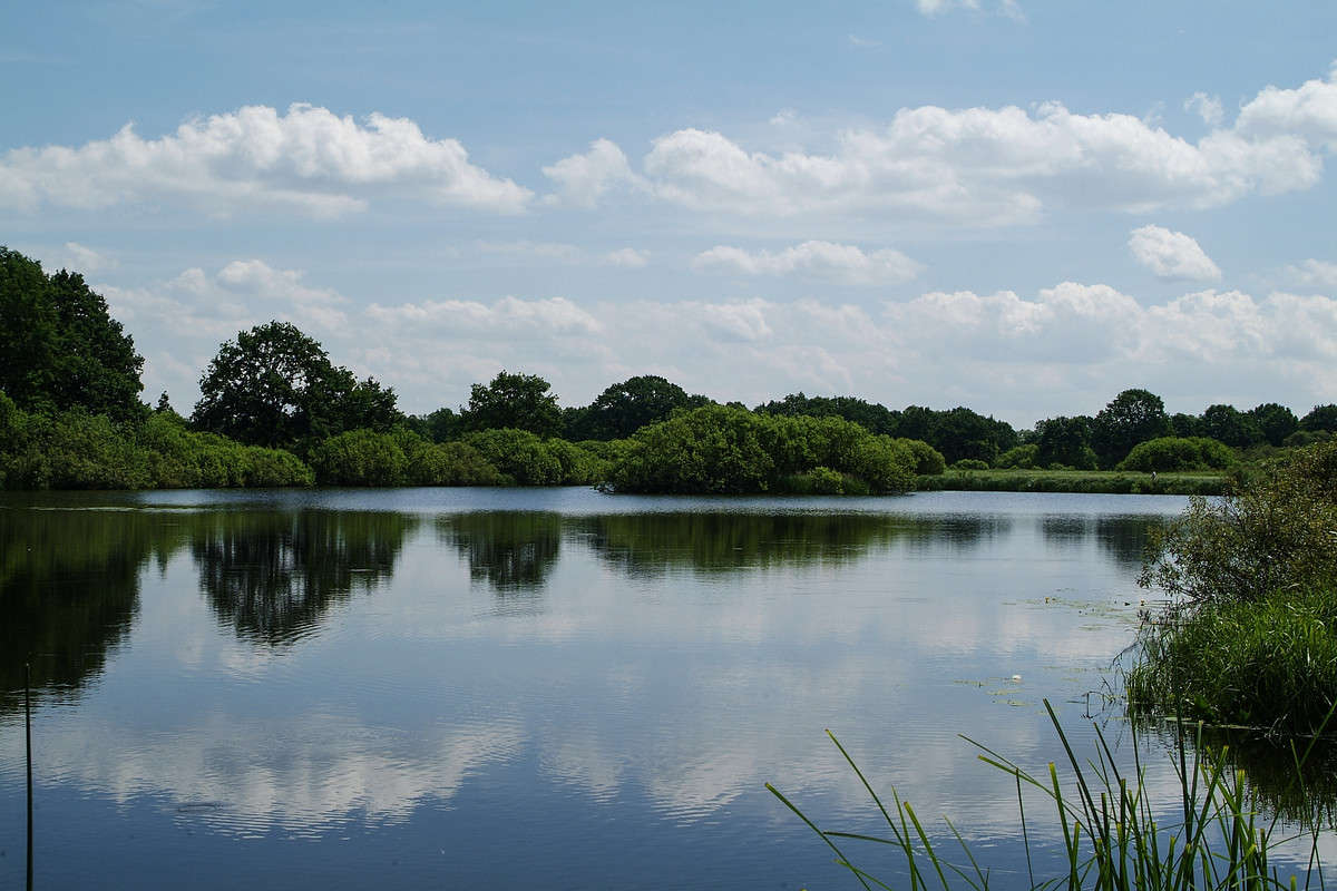 ... ����� ������� ���������� �� PhotoGeek.ru #������ ��� �������