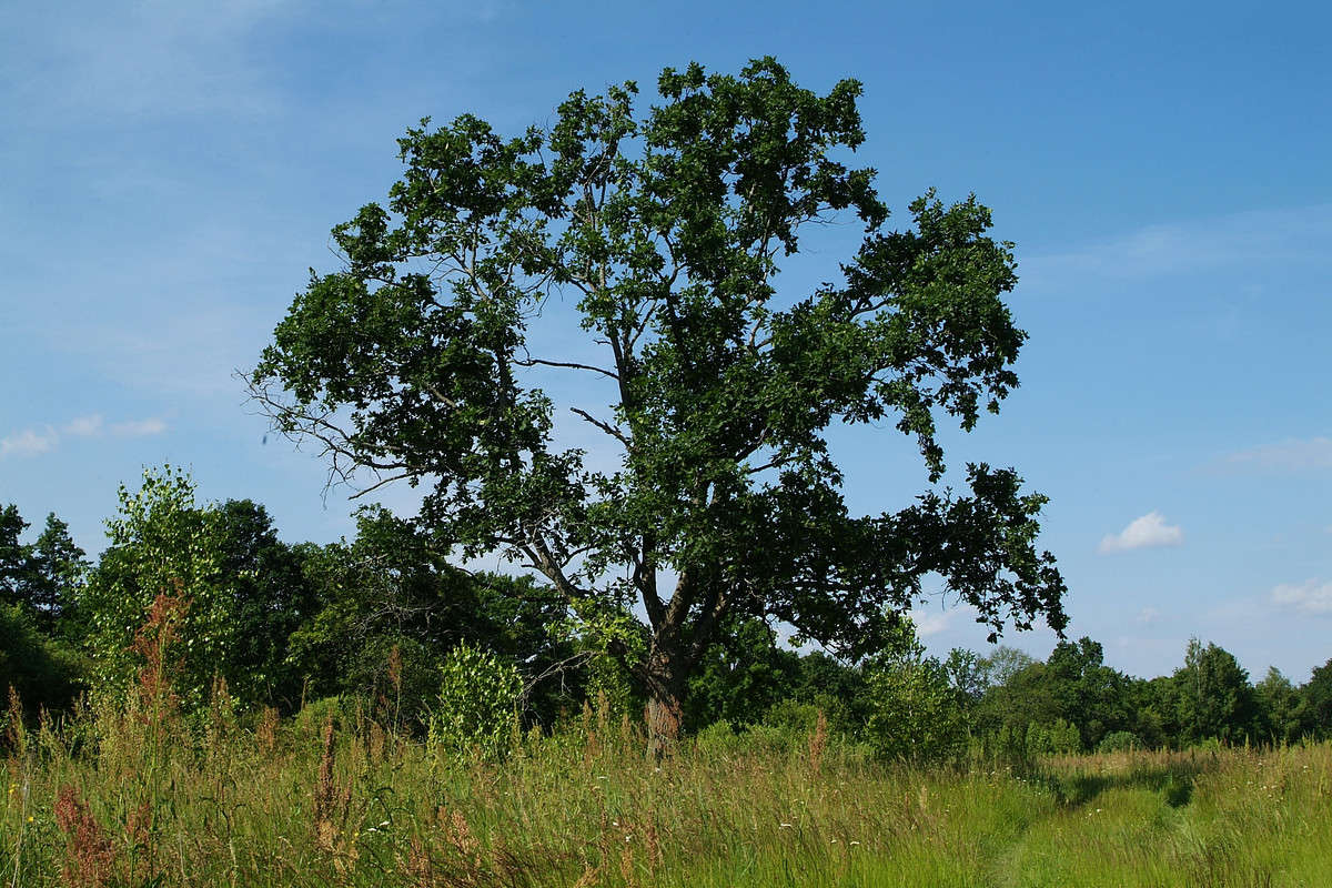 ... ����� ������� ���������� �� PhotoGeek.ru #������ ��� �������