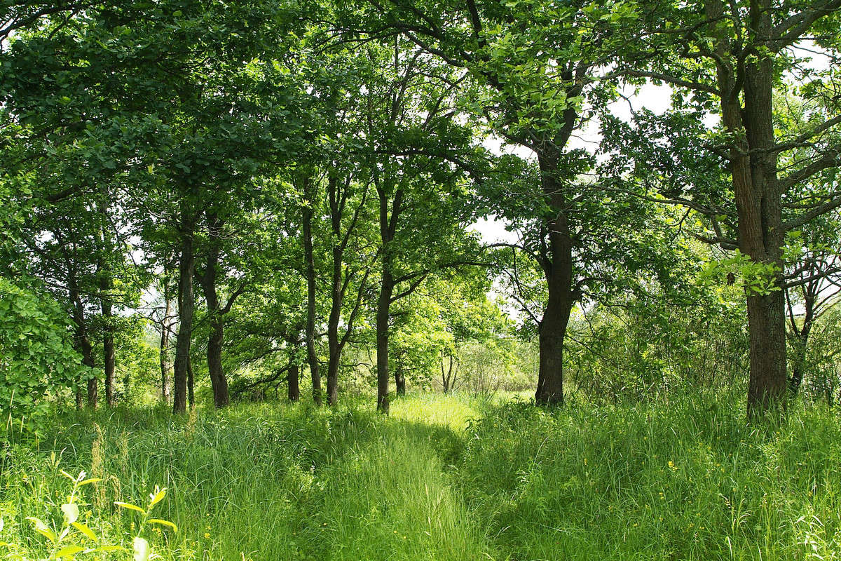 ... ����� ������� ���������� �� PhotoGeek.ru #������ ��� �������