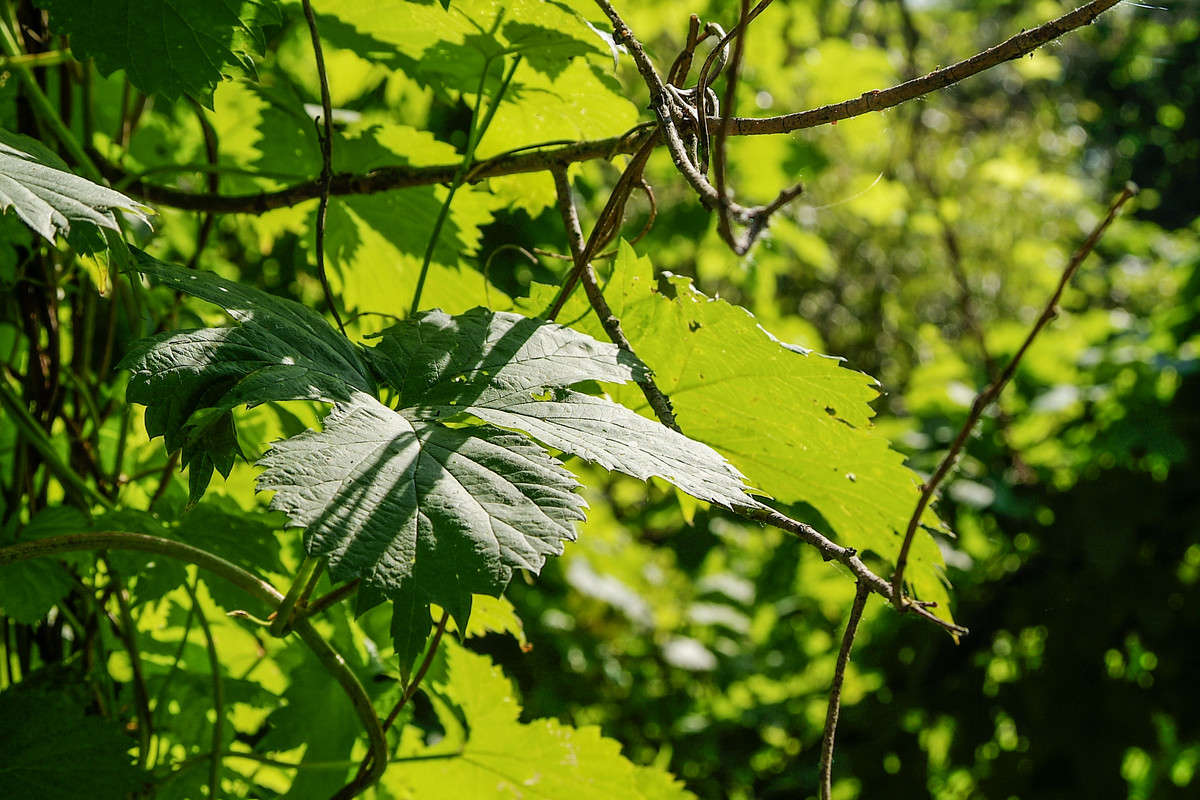 ... ����� ������� ���������� �� PhotoGeek.ru #������ ��� �������