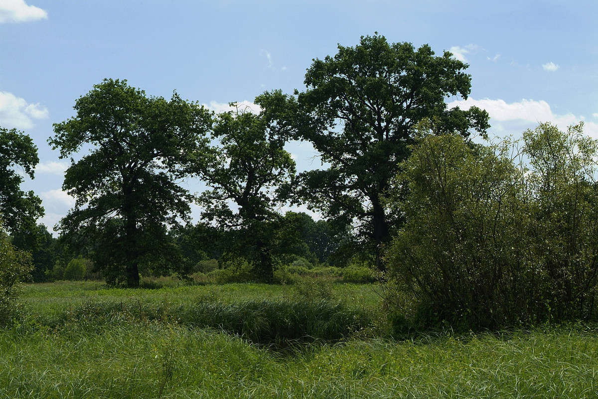 �������� ���� ����� ������� ���������� �� PhotoGeek.ru #������ ��� �������