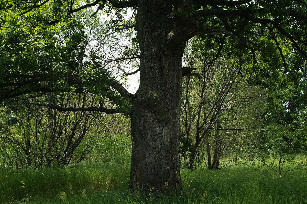 ��� ����� ������� ���������� �� PhotoGeek.ru #������ ��� �������