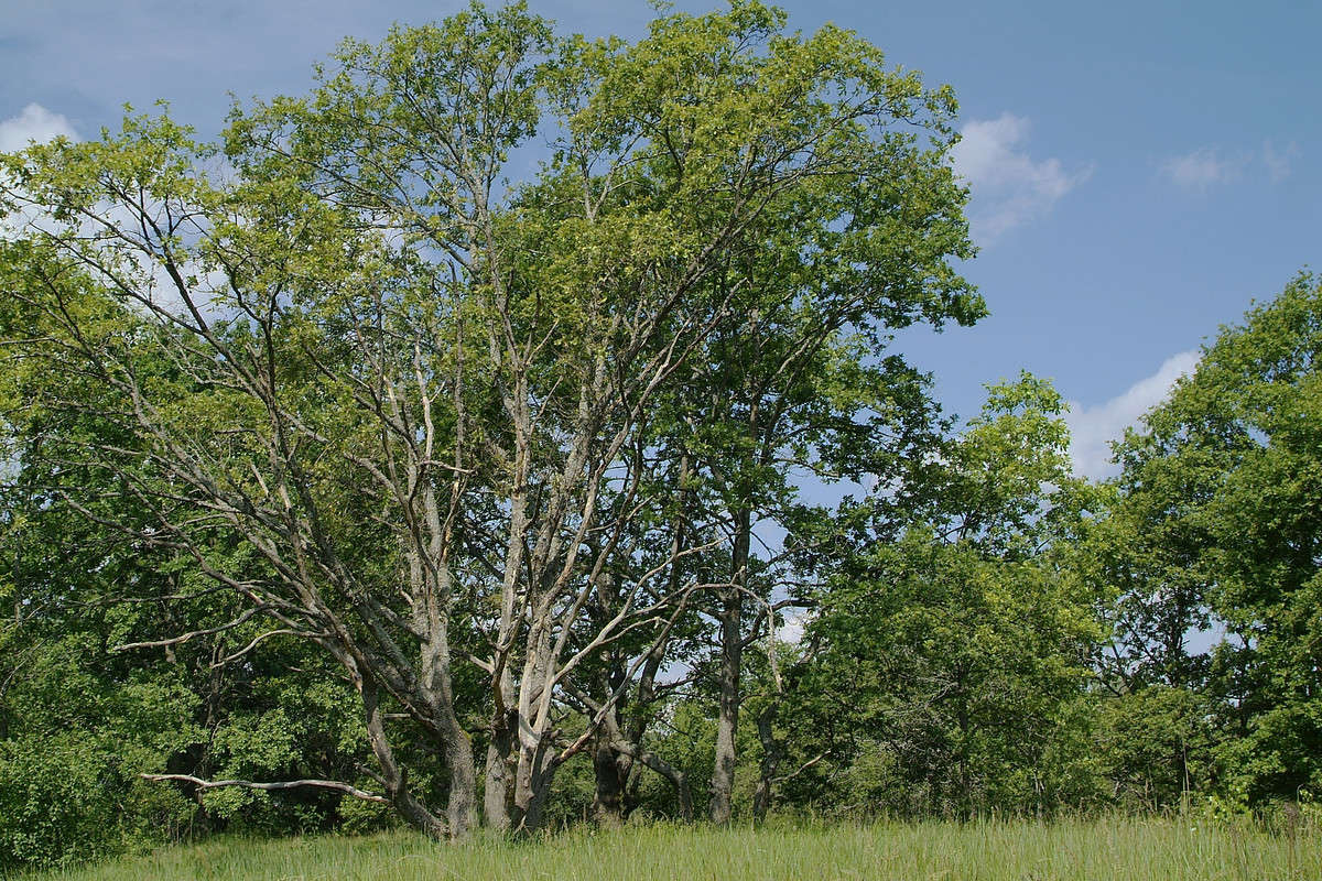 ... ����� ������� ���������� �� PhotoGeek.ru #������ ��� �������