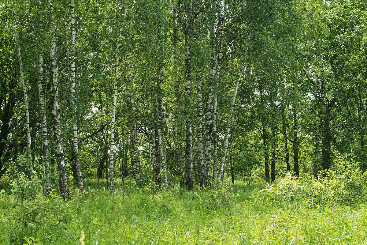 ... ����� ������� ���������� �� PhotoGeek.ru #������ ��� �������