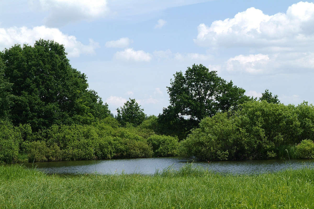 ... ����� ������� ���������� �� PhotoGeek.ru #������ ��� �������