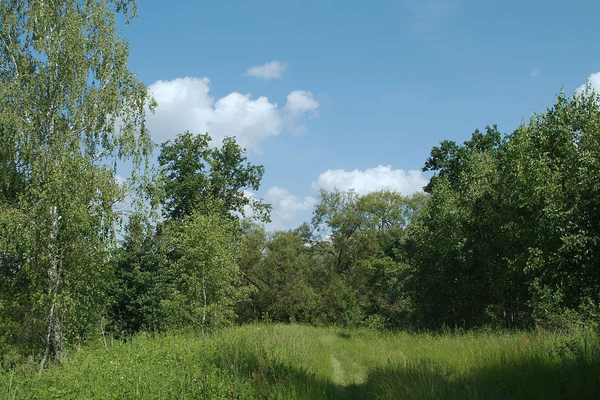 ... ����� ������� ���������� �� PhotoGeek.ru #������ ��� �������