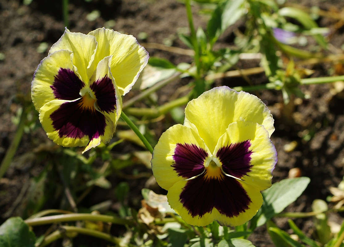 ... ����� ������� ���������� �� PhotoGeek.ru #������ ��� �������