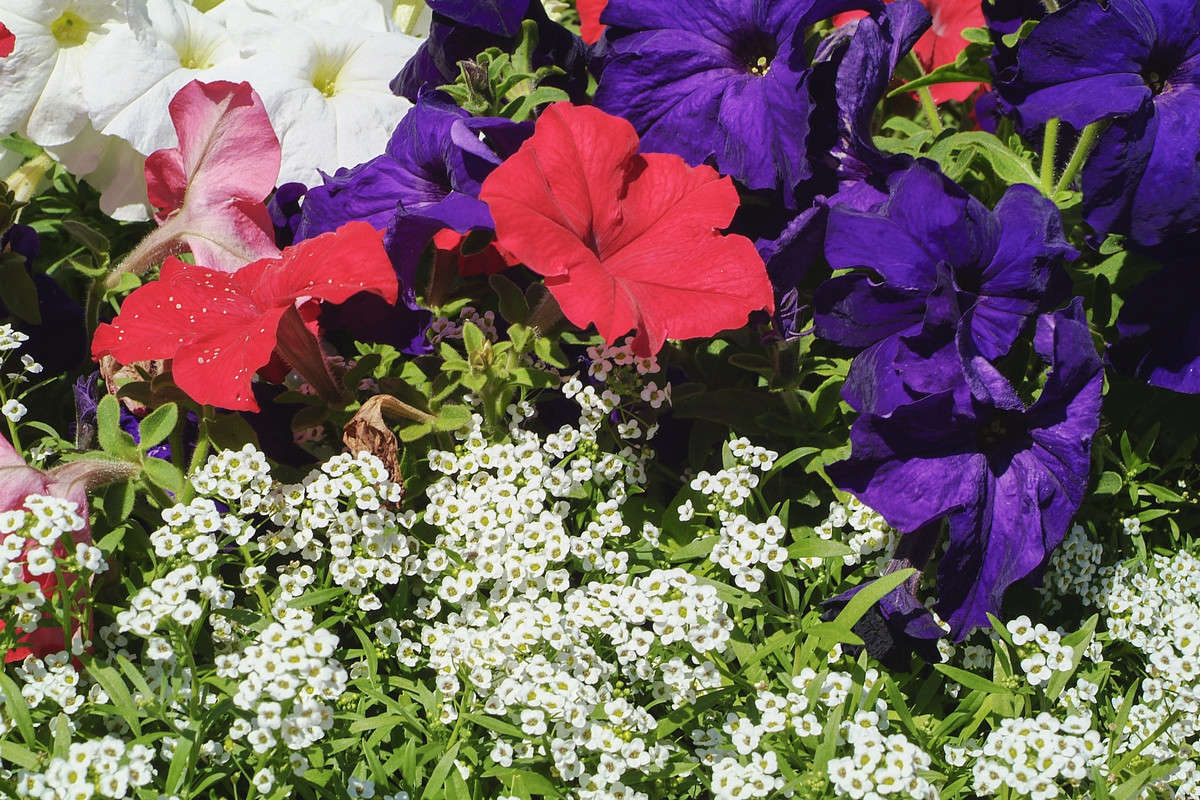 ... ����� ������� ���������� �� PhotoGeek.ru #������ ��� �������