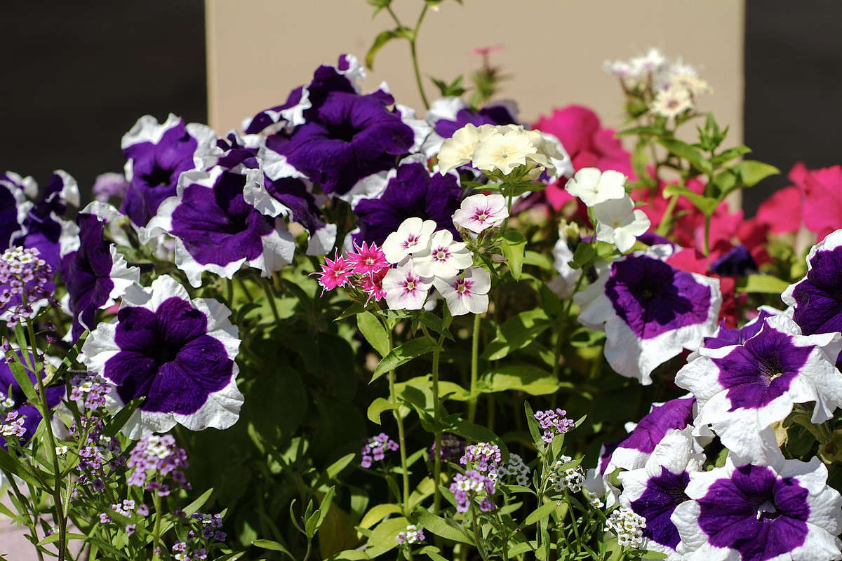 ... ����� ������� ���������� �� PhotoGeek.ru #������ ��� �������