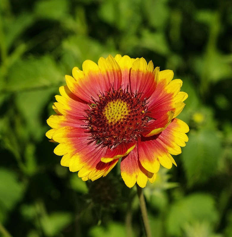 ... ����� ������� ���������� �� PhotoGeek.ru #������ ��� �������