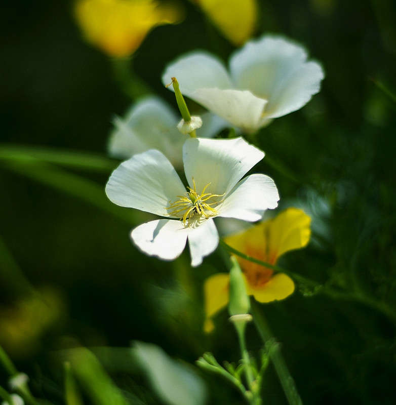 ... ����� ������� ���������� �� PhotoGeek.ru #������ ��� �������