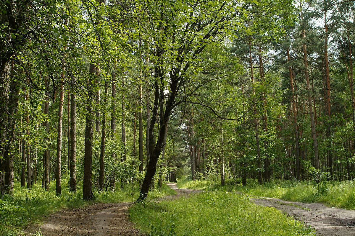 ... ����� ������� ���������� �� PhotoGeek.ru #������ ��� �������