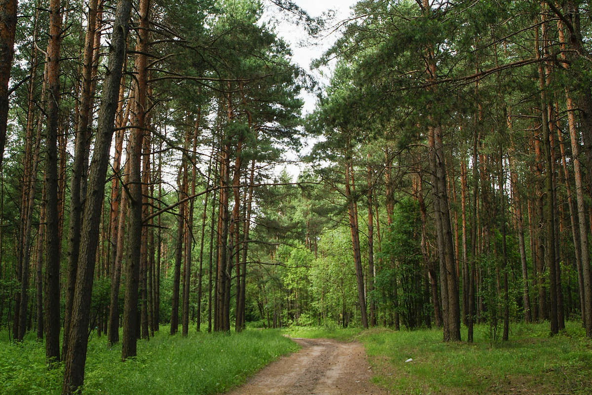 ... ����� ������� ���������� �� PhotoGeek.ru #������ ��� �������