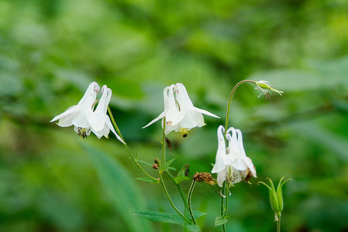 ... ����� ������� ���������� �� PhotoGeek.ru #������ ��� �������