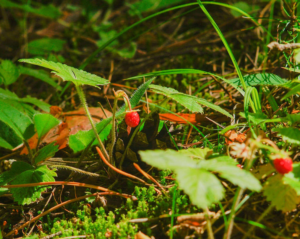 ... ����� ������� ���������� �� PhotoGeek.ru #������ ��� �������