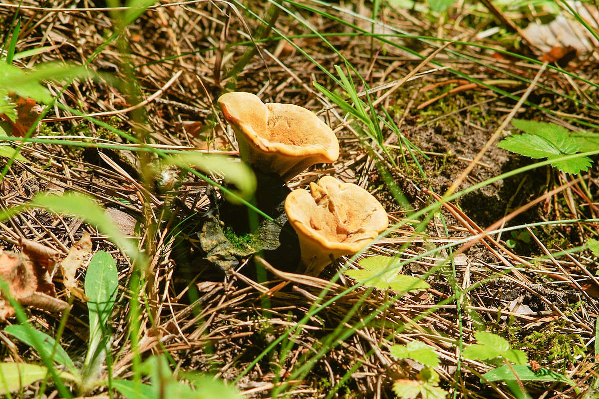 ... ����� ������� ���������� �� PhotoGeek.ru #������ ��� �������