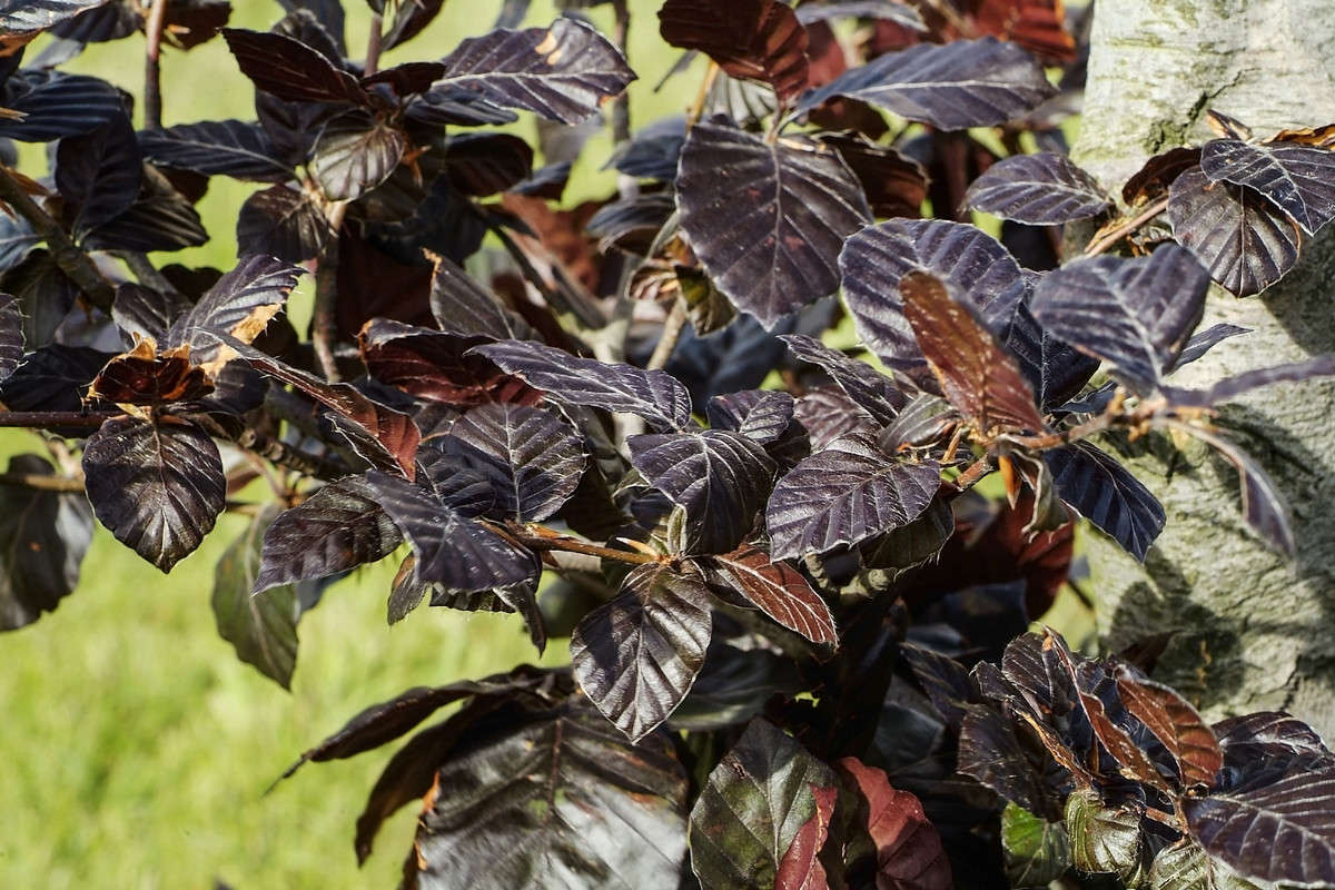 ... ����� ������� ���������� �� PhotoGeek.ru #������ ��� �������