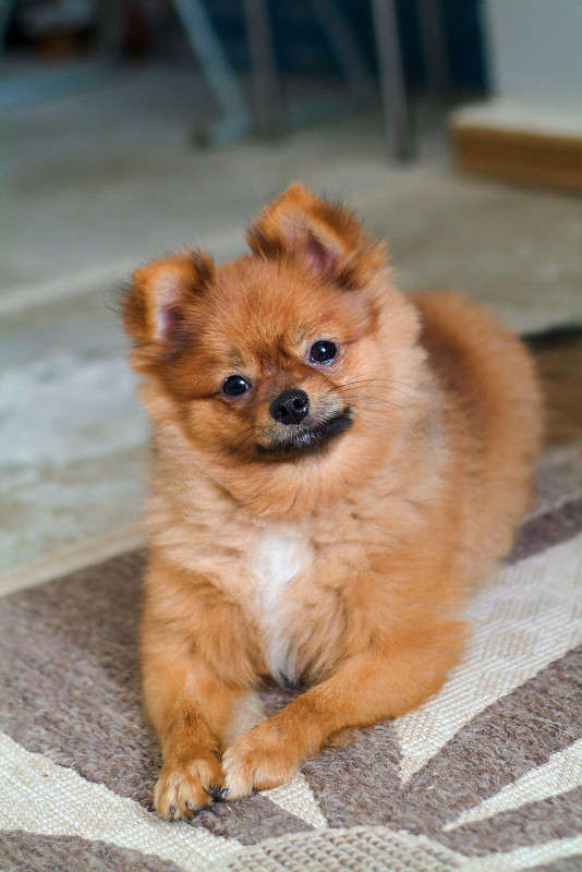 ... ����� ������� ���������� �� PhotoGeek.ru #�������� ���