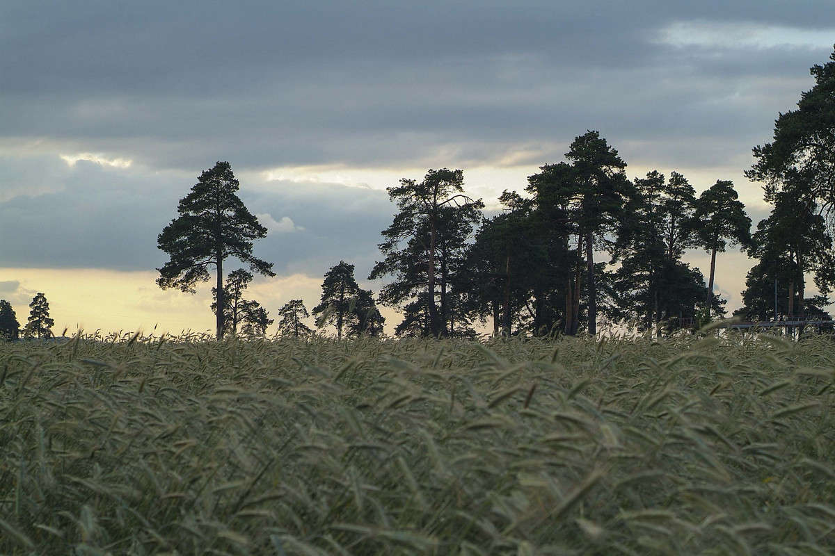 ... ����� ������� ���������� �� PhotoGeek.ru #������ ��� �������