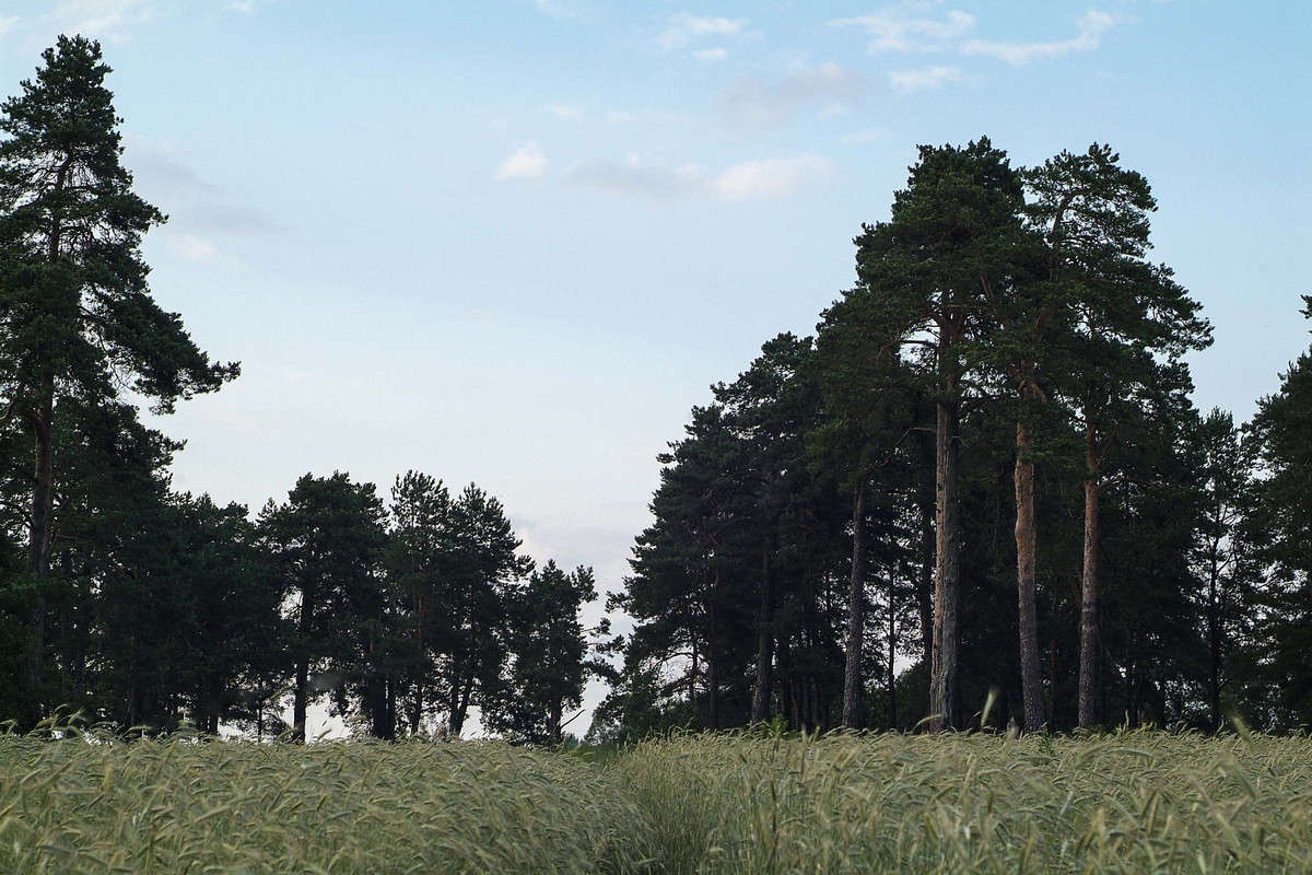 ... ����� ������� ���������� �� PhotoGeek.ru #������ ��� �������